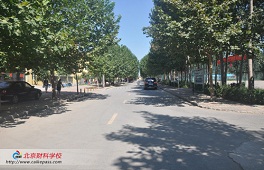 校园一角