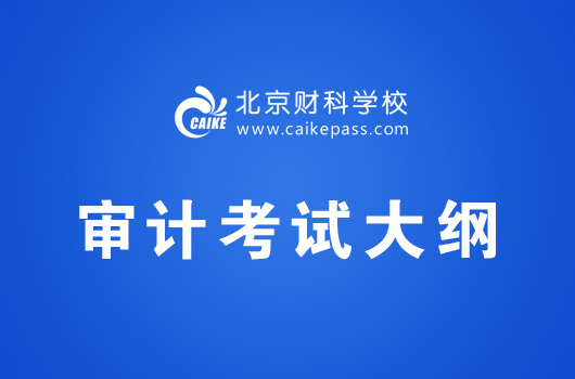 注册会计师考试《审计》考试大纲